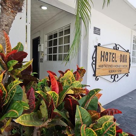 Dna Cancun Hotel Y Posada Kültér fotó